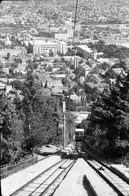 19714814.jpg