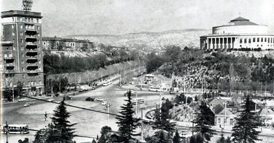 318169.jpg