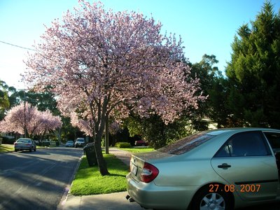 DSCN4717.jpg