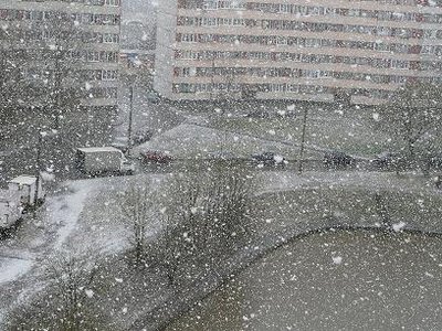 P1010462.JPG